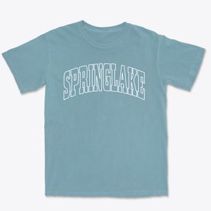 Springlake Texas Trendy Block Premium Heavyweight T-shirt