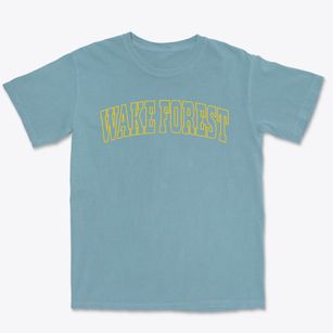 Wake Forest North Carolina Trendy Block Premium Heavyweight T-shirt