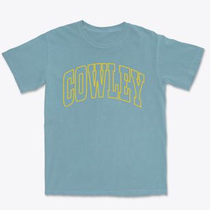 Cowley Wyoming Trendy Block Premium Heavyweight T-shirt