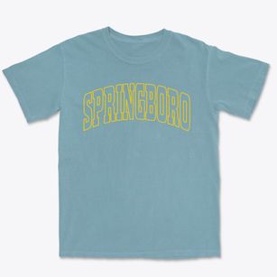 Springboro Pennsylvania Trendy Block Premium Heavyweight T-shirt
