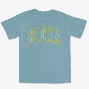 Scotia South Carolina Trendy Block Premium Heavyweight T-shirt