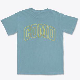 Como North Carolina Trendy Block Premium Heavyweight T-shirt