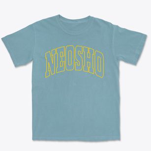 Neosho Missouri Trendy Block Premium Heavyweight T-shirt