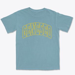Geneseo New York Trendy Block Premium Heavyweight T-shirt