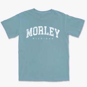 Morley Michigan Urban Vibe Premium Heavyweight T-shirt