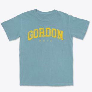 Gordon Ohio Urban Vibe Premium Heavyweight T-shirt