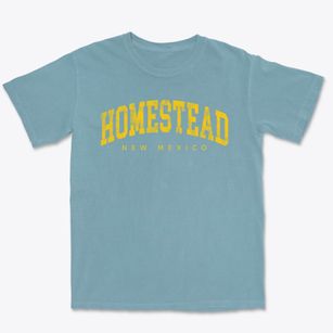 Homestead New Mexico Urban Vibe Premium Heavyweight T-shirt