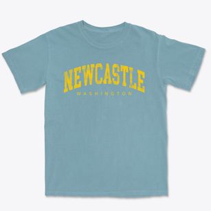 Newcastle Washington Urban Vibe Premium Heavyweight T-shirt
