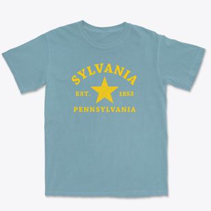 Sylvania Pennsylvania Star Premium Heavyweight T-shirt