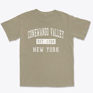 Conewango Valley New York Classic Established Premium Heavyweight T-shirt