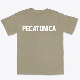 Pecatonica Illinois Classic Block Premium Heavyweight T-shirt