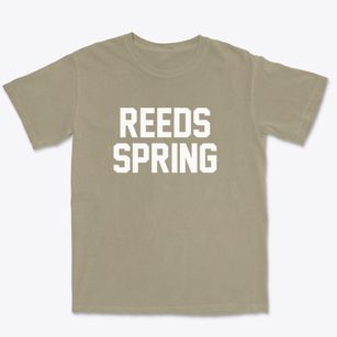 Reeds Spring Missouri Classic Block Premium Heavyweight T-shirt