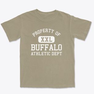 Buffalo North Dakota Athletic Dept Premium Heavyweight T-shirt
