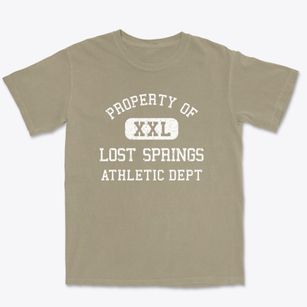 Lost Springs Wyoming Athletic Dept Premium Heavyweight T-shirt