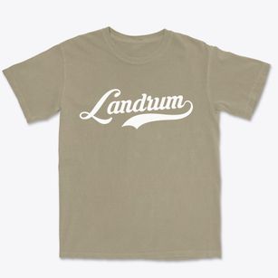 Landrum South Carolina Vintage Team Premium Heavyweight T-shirt