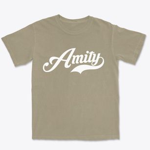 Amity New York Vintage Team Premium Heavyweight T-shirt