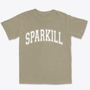 Sparkill New York Varsity Premium Heavyweight T-shirt