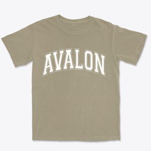 Avalon New Jersey Varsity Premium Heavyweight T-shirt