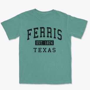 Ferris Texas Classic Established Premium Heavyweight T-shirt