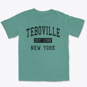 Teboville New York Classic Established Premium Heavyweight T-shirt
