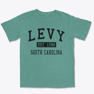 Levy South Carolina Classic Established Premium Heavyweight T-shirt
