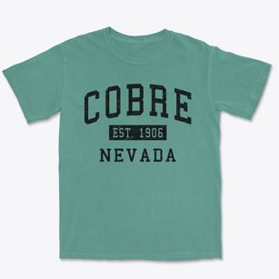 Cobre Nevada Classic Established Premium Heavyweight T-shirt
