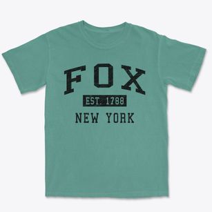 Fox New York Classic Established Premium Heavyweight T-shirt