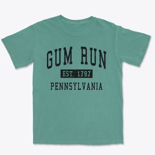 Gum Run Pennsylvania Classic Established Premium Heavyweight T-shirt
