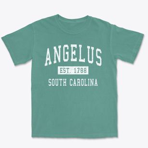 Angelus South Carolina Classic Established Premium Heavyweight T-shirt
