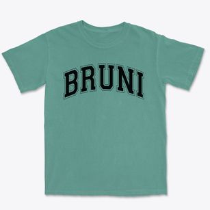 Bruni Elementary School Varsity Arch Premium Heavyweight T-shirt