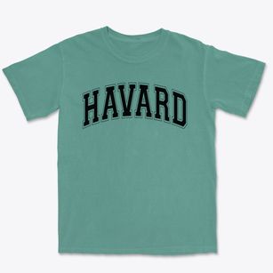 Havard Elementary School Varsity Arch Premium Heavyweight T-shirt