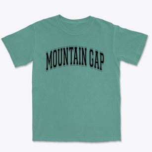 Mountain Gap Elementary School Varsity Arch Premium Heavyweight T-shirt