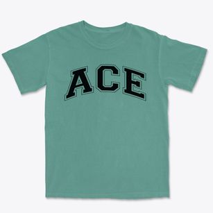 Academy For Community Education Varsity Arch Premium Heavyweight T-shirt