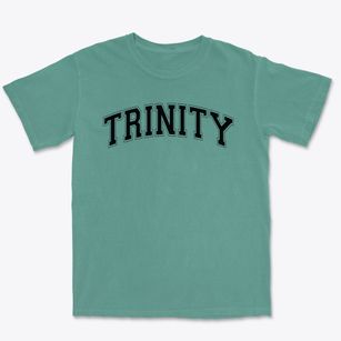Trinity Christian School Varsity Arch Premium Heavyweight T-shirt