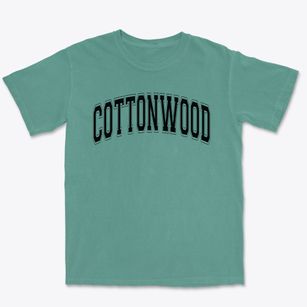 Cottonwood Elementary School Varsity Arch Premium Heavyweight T-shirt