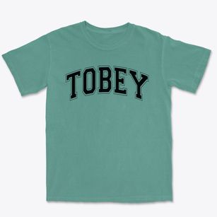 Tobey Elementary School Varsity Arch Premium Heavyweight T-shirt