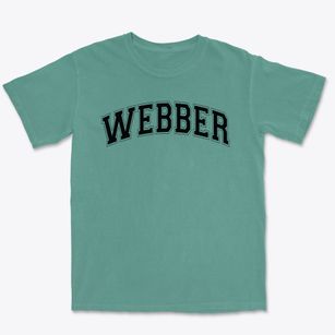 Webber Elementary School Varsity Arch Premium Heavyweight T-shirt