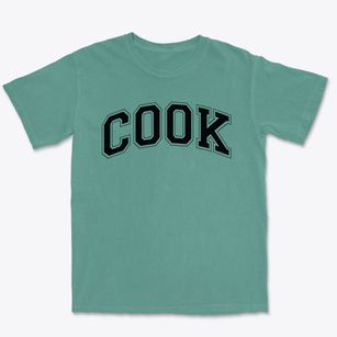 Cook Elementary School Varsity Arch Premium Heavyweight T-shirt