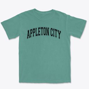 Appleton City Elementary School Varsity Arch Premium Heavyweight T-shirt