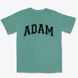 Adam Clayton Powel Junior High School Varsity Arch Premium Heavyweight T-shirt