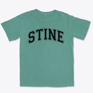 Stine Elementary School Varsity Arch Premium Heavyweight T-shirt