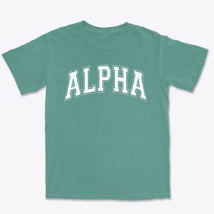 Alpha Intermediate School Varsity Arch Premium Heavyweight T-shirt