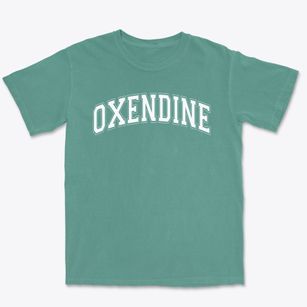 Oxendine Elementary School Varsity Arch Premium Heavyweight T-shirt