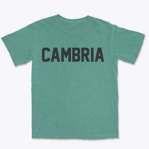 Cambria Wisconsin Classic Block Premium Heavyweight T-shirt