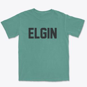 Elgin Illinois Classic Block Premium Heavyweight T-shirt
