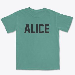 Alice North Dakota Classic Block Premium Heavyweight T-shirt