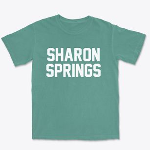 Sharon Springs New York Classic Block Premium Heavyweight T-shirt