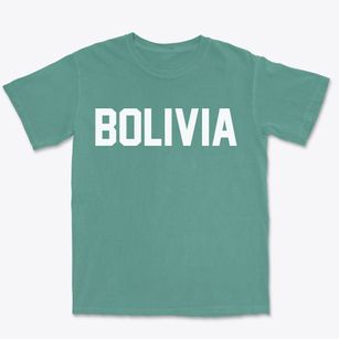 Bolivia North Carolina Classic Block Premium Heavyweight T-shirt