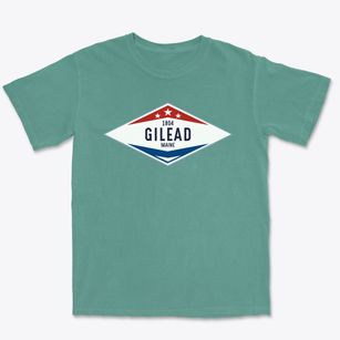 Gilead Maine Diamond Star Premium Heavyweight T-shirt