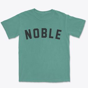 Noble Illinois Classic Curve Premium Heavyweight T-shirt